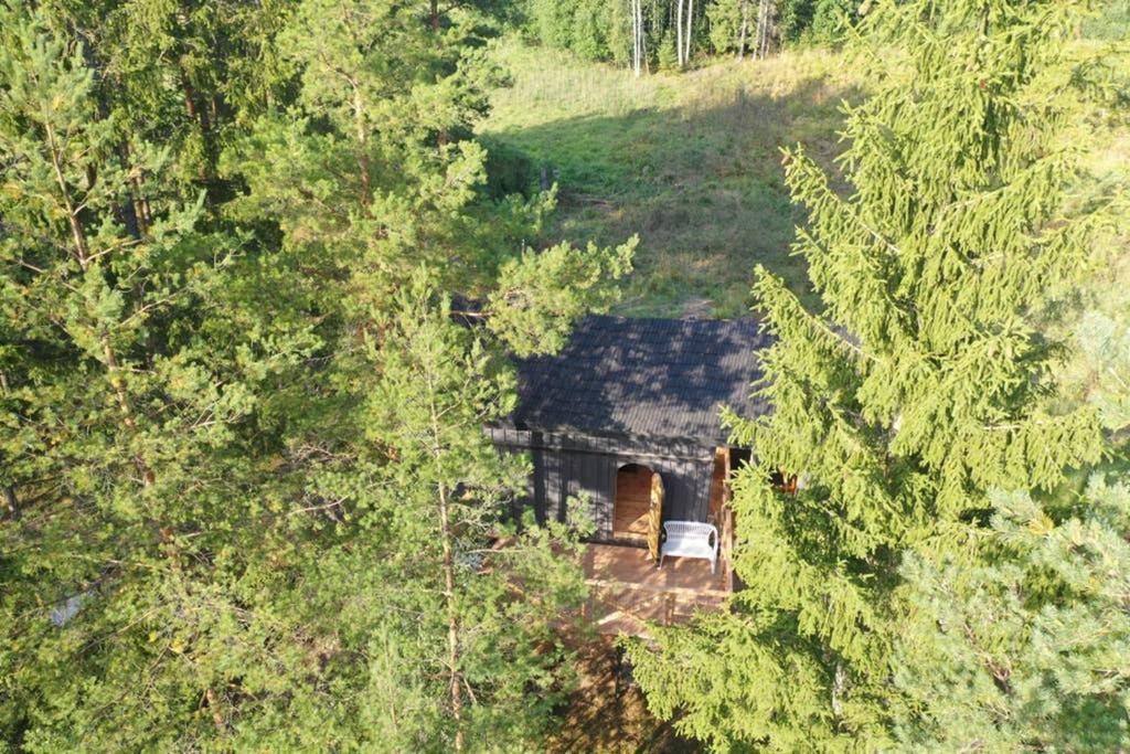 Viking House In The Tree! Jacuzzi, Sauna,Apkure! Lici  Luaran gambar