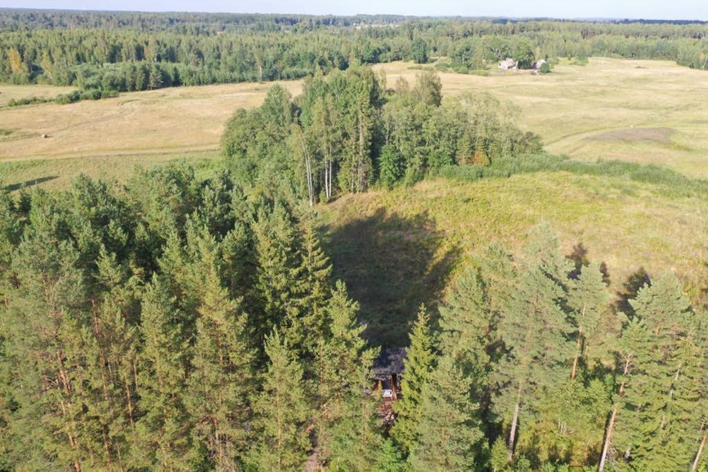 Viking House In The Tree! Jacuzzi, Sauna,Apkure! Lici  Luaran gambar