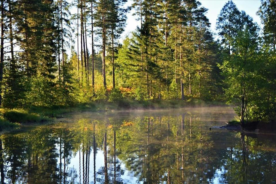 Viking House In The Tree! Jacuzzi, Sauna,Apkure! Lici  Luaran gambar
