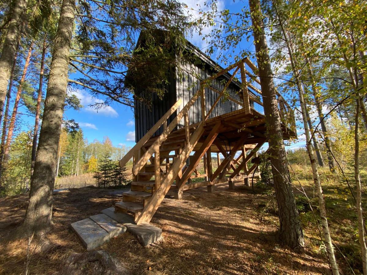 Viking House In The Tree! Jacuzzi, Sauna,Apkure! Lici  Luaran gambar