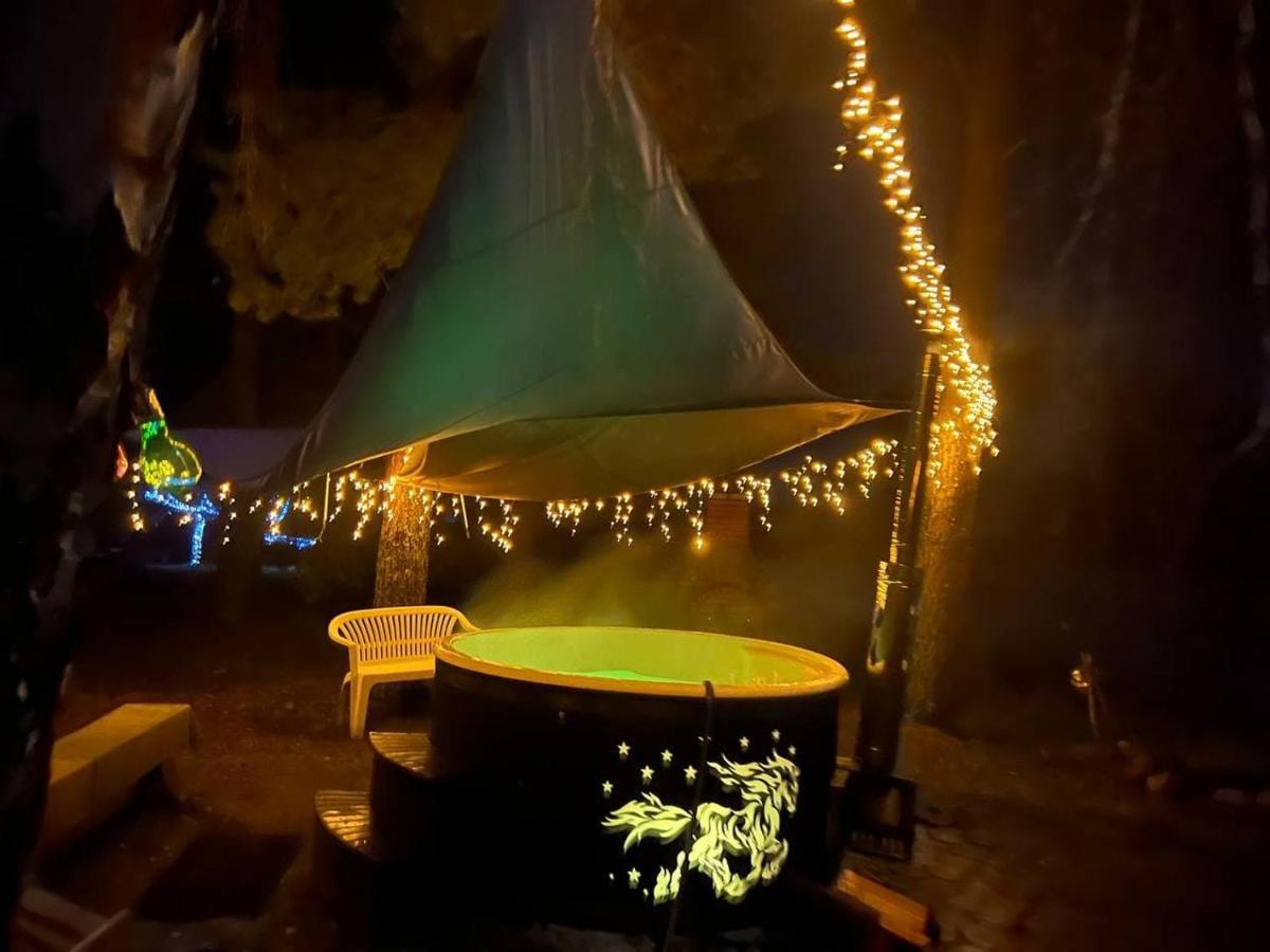 Viking House In The Tree! Jacuzzi, Sauna,Apkure! Lici  Luaran gambar